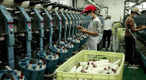 北湖區(qū) 訂單追著企業(yè)跑，服務(wù)圍著企業(yè)轉(zhuǎn)——紡織品產(chǎn)業(yè)的轉(zhuǎn)型與振興